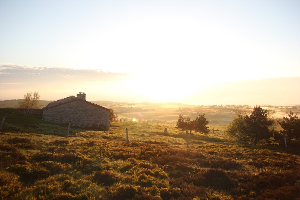 Les plateaux de Pierre-sur-Haute
