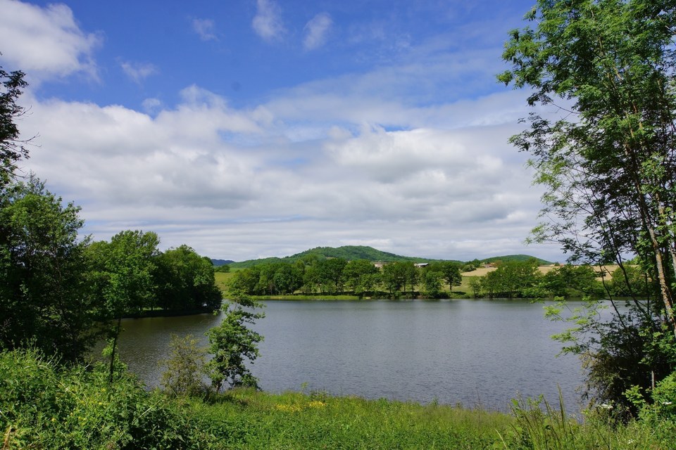 L'étang des Maures