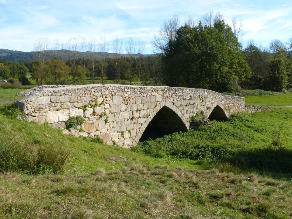 Masselèbre