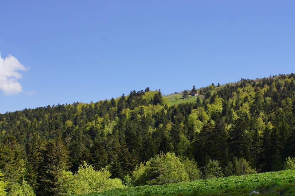 Vue de la Chamboitte