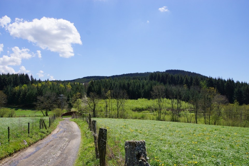 Puy d'Oscot