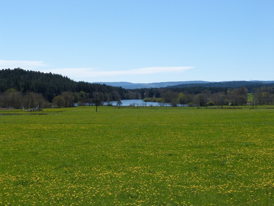 Etang de Riols