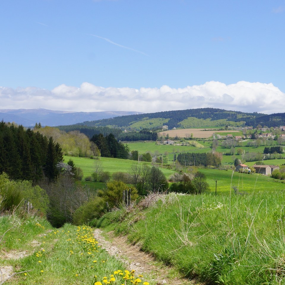 Vue sur les monts du Livradois et du Forez