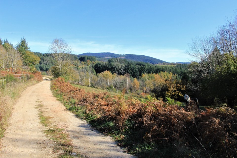 Tour du Puy de la Tête