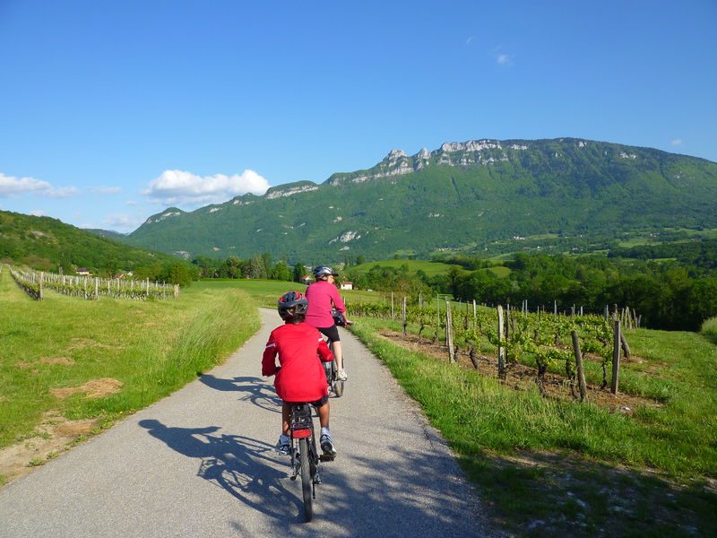 Circuit du Vignoble