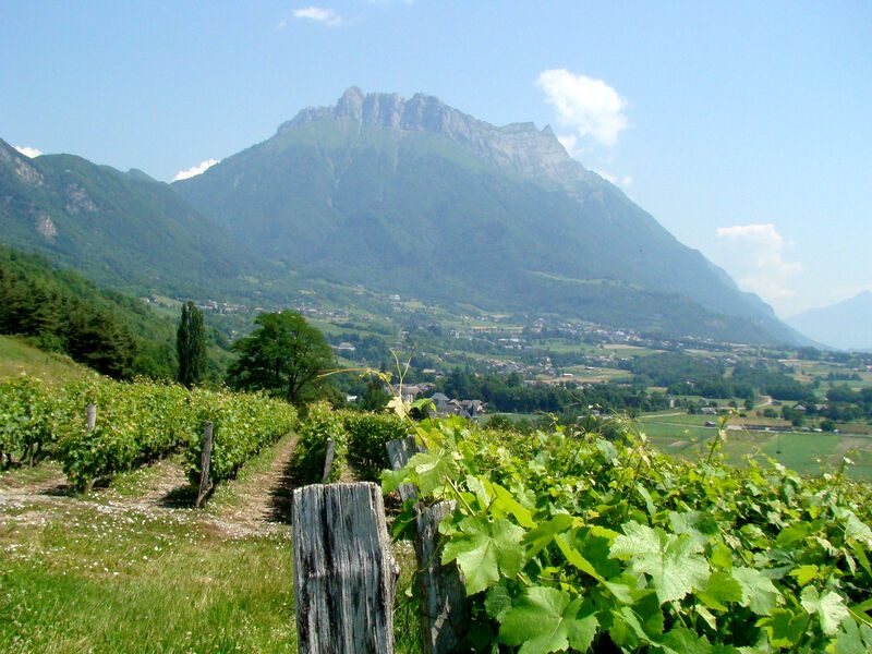 Boucle cyclo : La Combe de Savoie