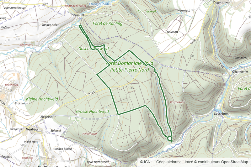 Circuit de Saumuehle