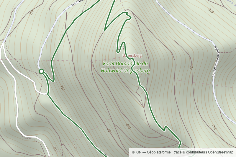 Circuit Ungersberg
