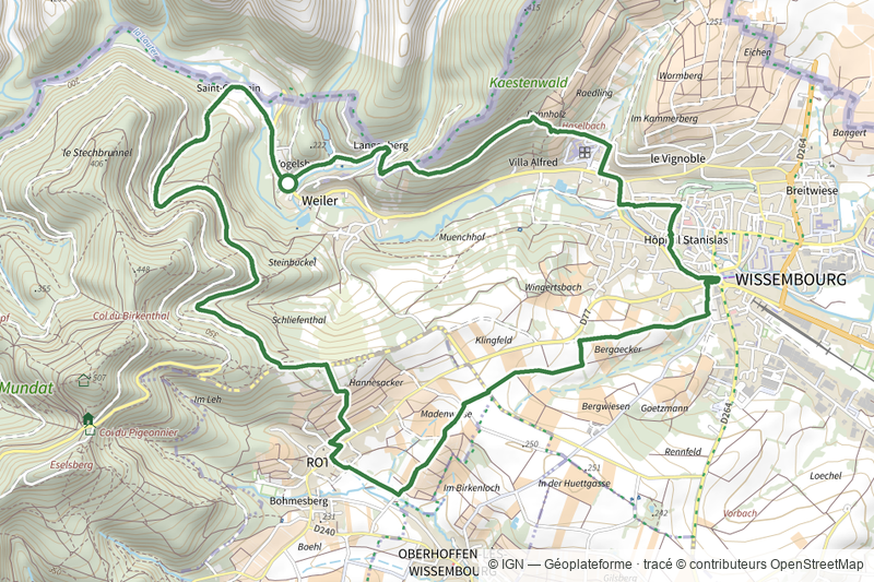 Anneau vert