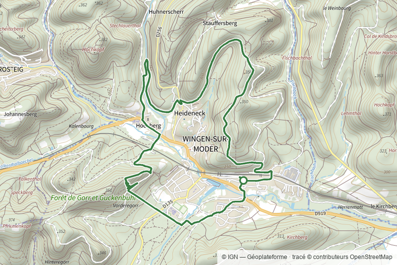Grand Circuit autour de Wingen-sur-Moder