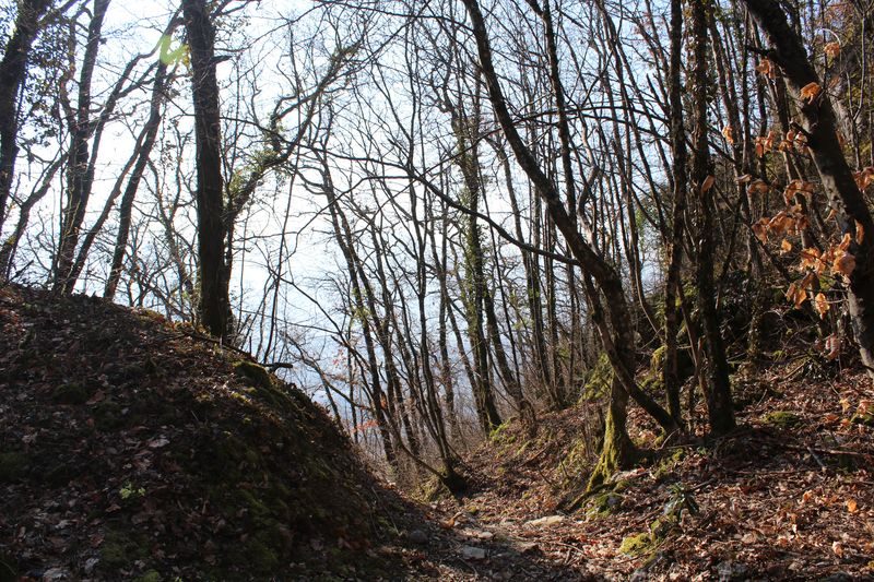 Traversée en forêt avant d'atteindre le hameau