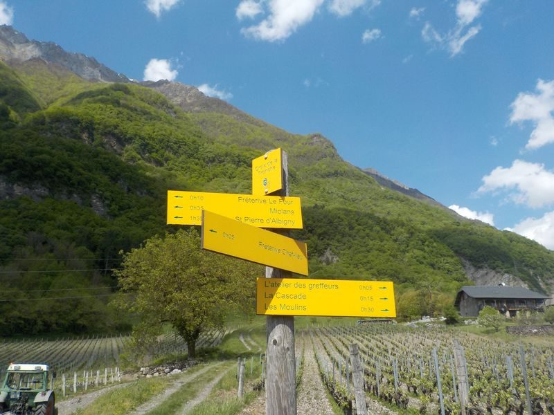 Une balade au coeur du vignoble.