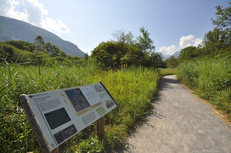 Réserve du Bout du Lac d'Annecy