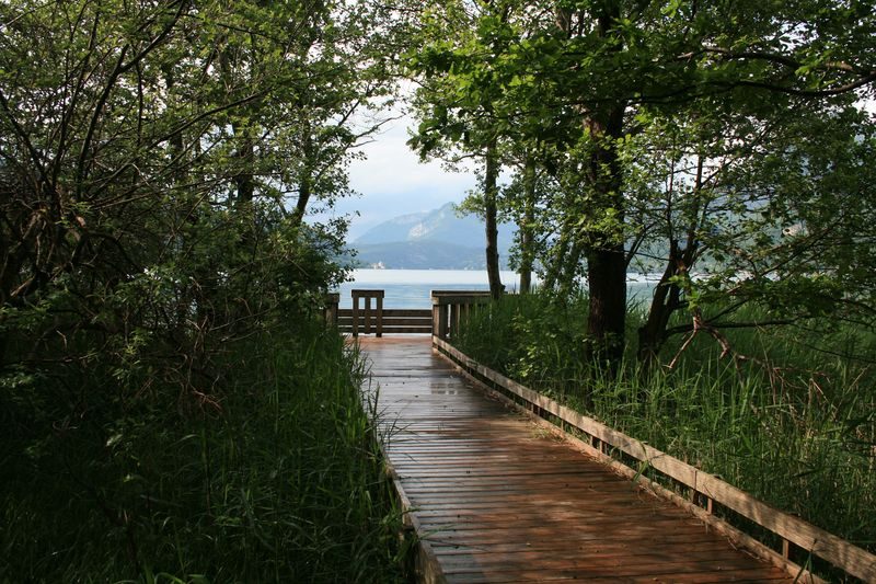 Le point de vue sur le lac