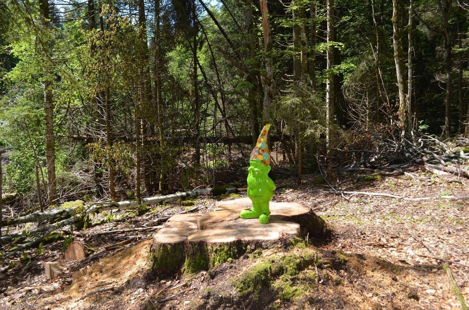 Foret de la Gornaz