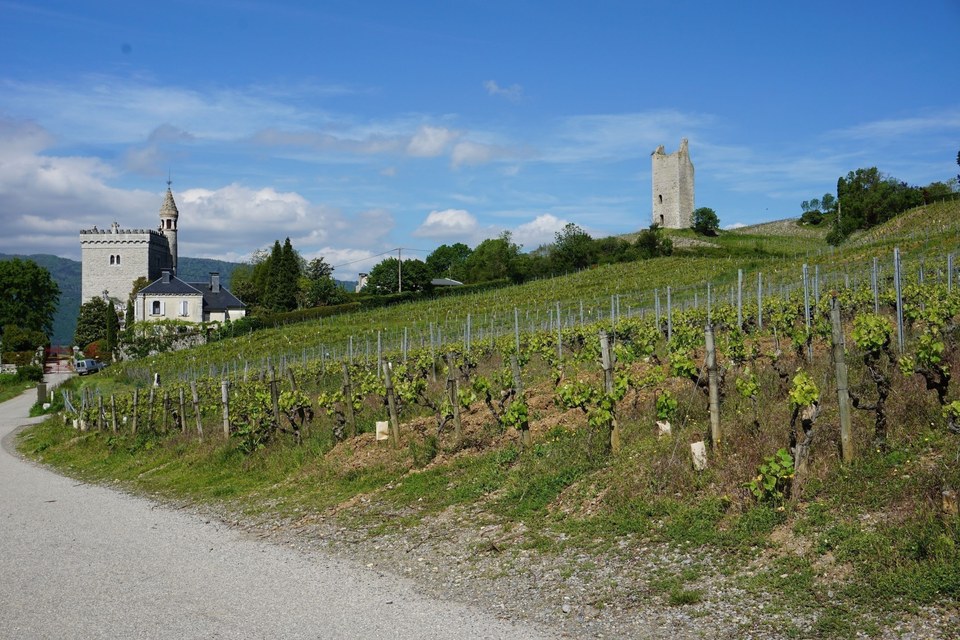Vue sur la Tour de St Anthelme et la Tour de la Place