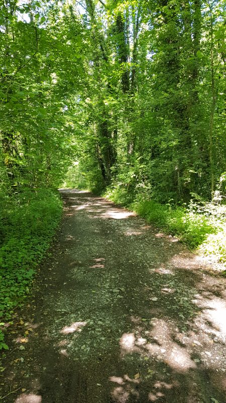 Sentier