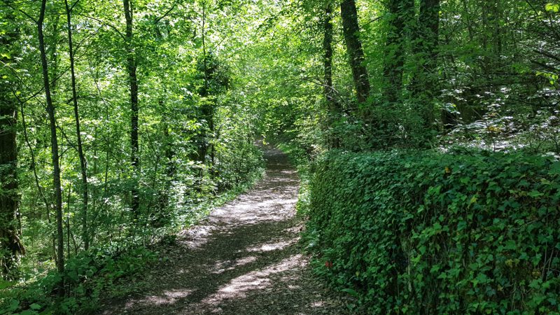 VTT - Sous la dent