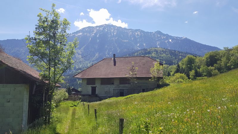 Panorama Dent de Cons