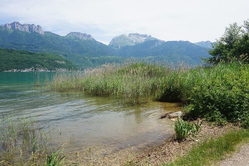 Le sentier des Roselières