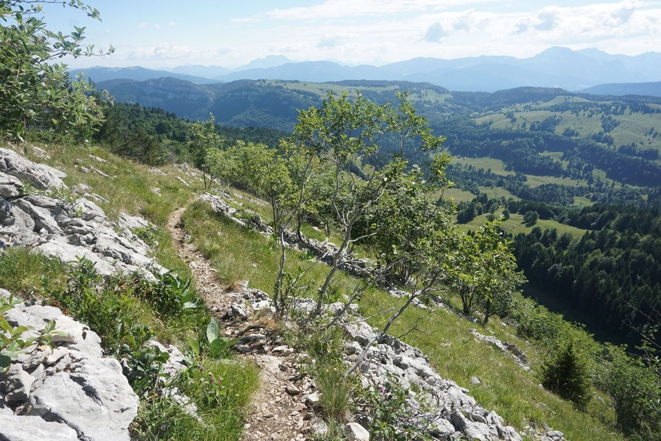 Chemin des crêtes