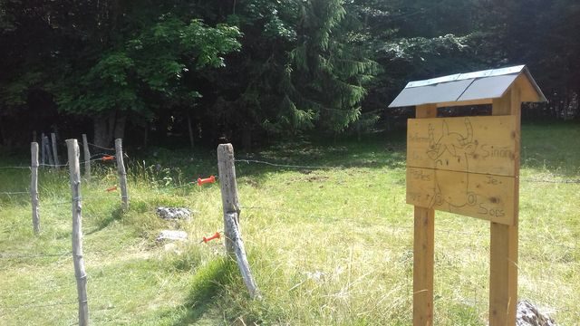 sentier2