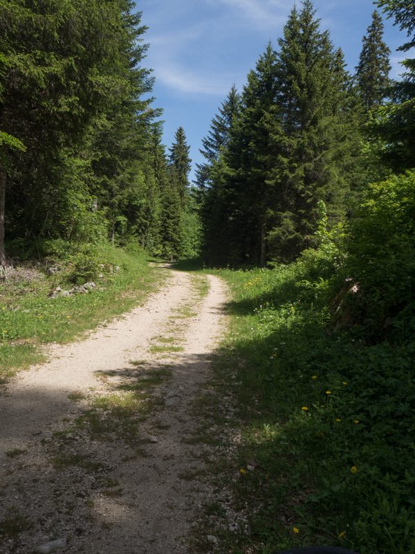 Sentier