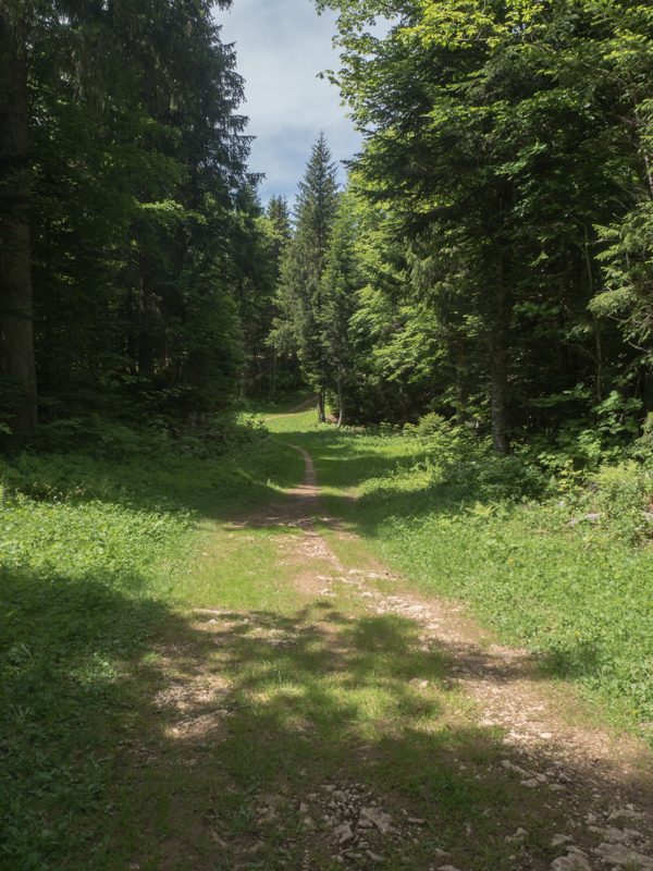 Sentier