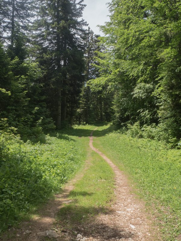 Sentier