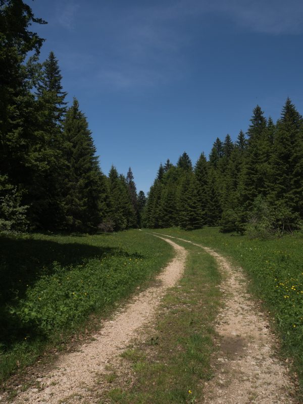 VTT Grande Teppe