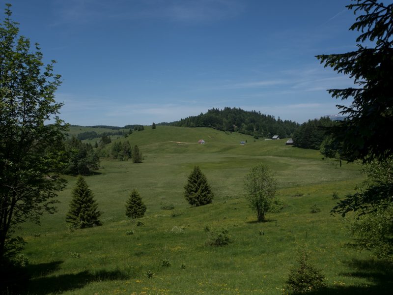 VTT Bois Brulé