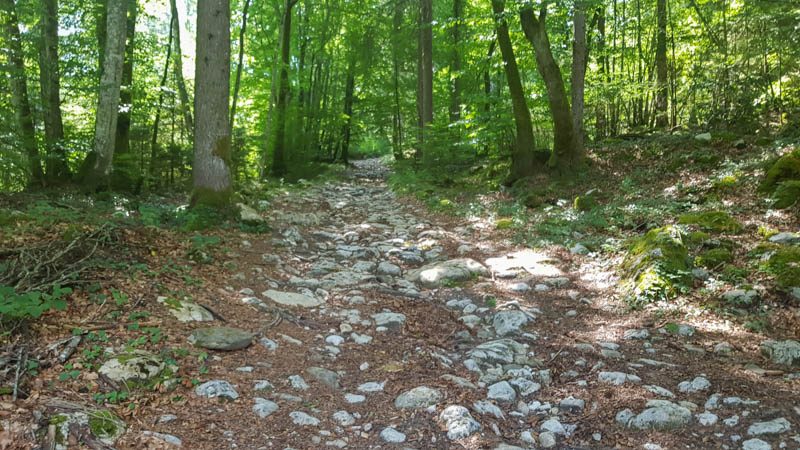 VTT Fournis