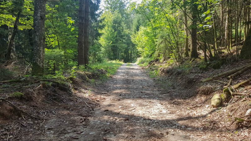 Sentier