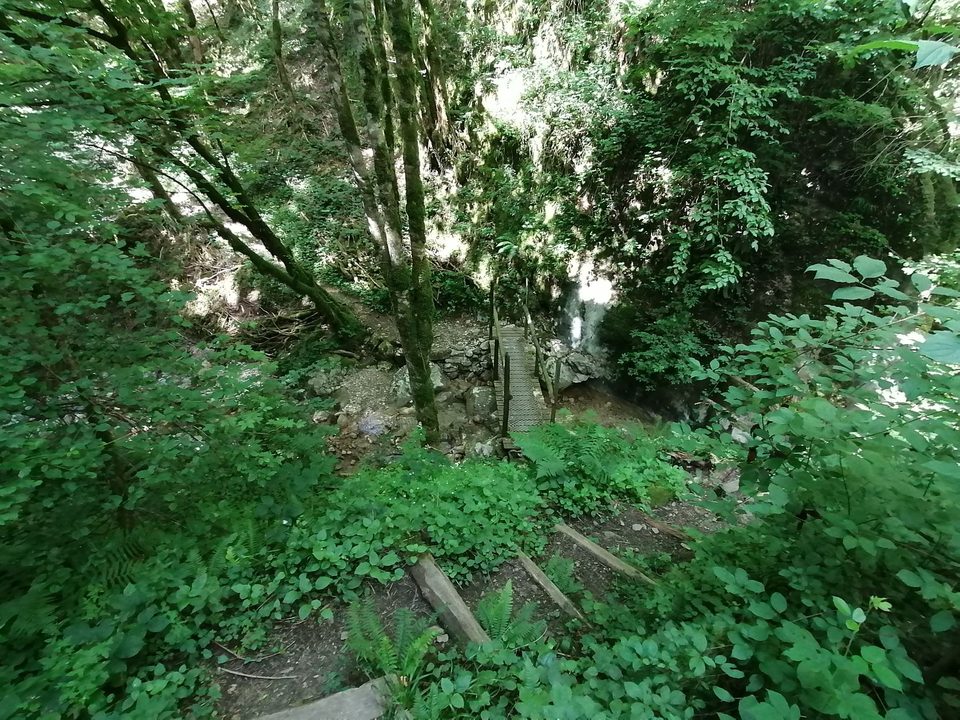Petite passerelle en aval d'un sentier en escaliers