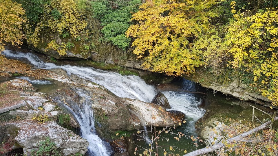 Dans les gorges du Sierroz