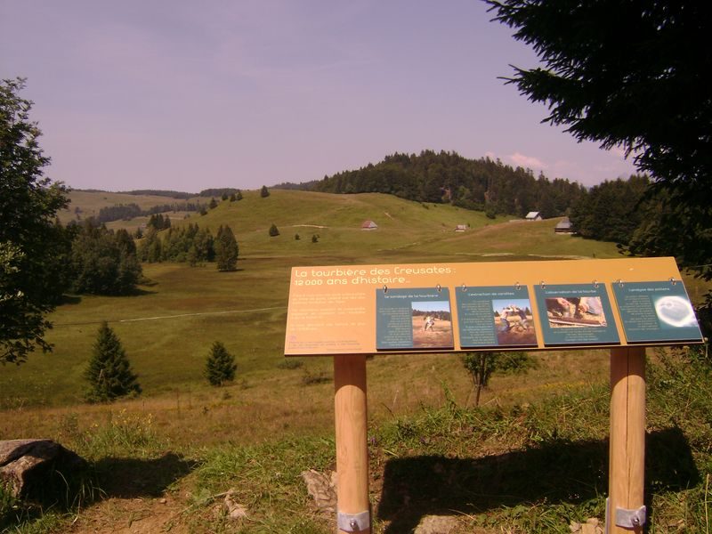 Depuis le belvédère sur la tourbière