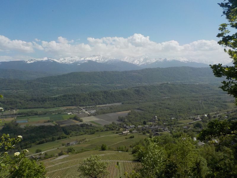 Sentier des Papillons