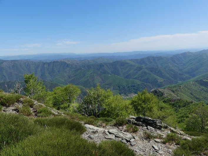 Vallée de l'Hérault