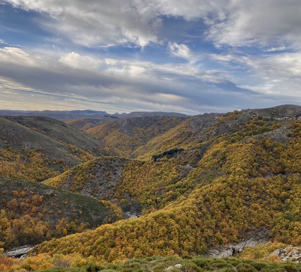 automne vue sur le Tarn