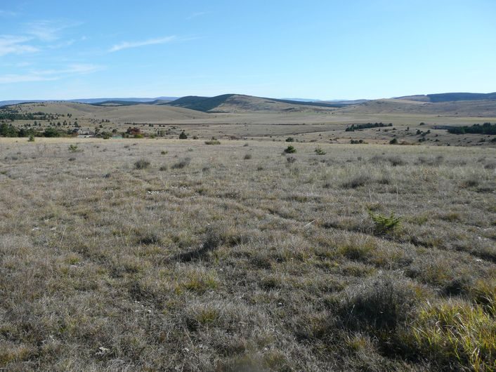 La plaine de Chanet