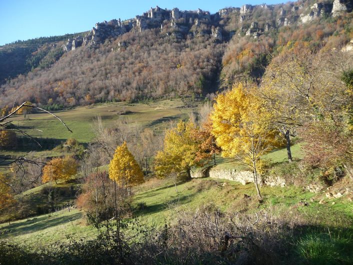 Monteils