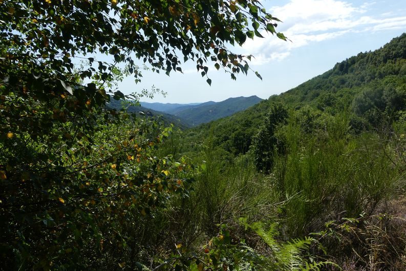 Vallée du Gardon St MArtin