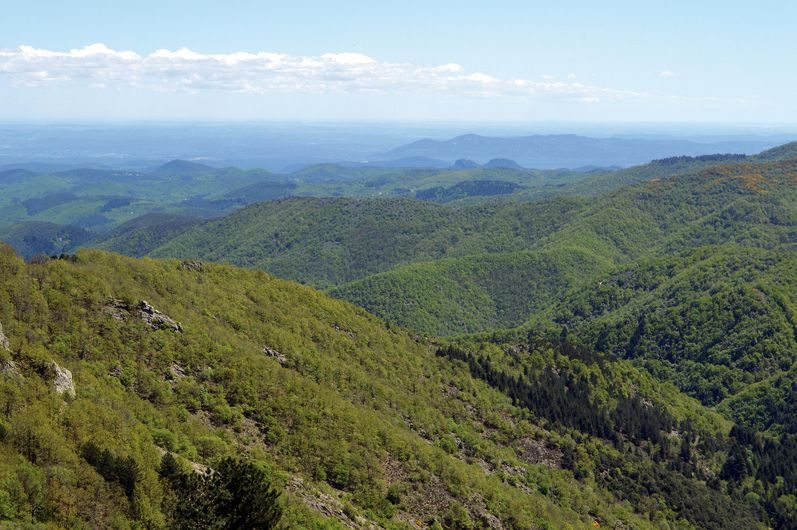 Vue panoramique