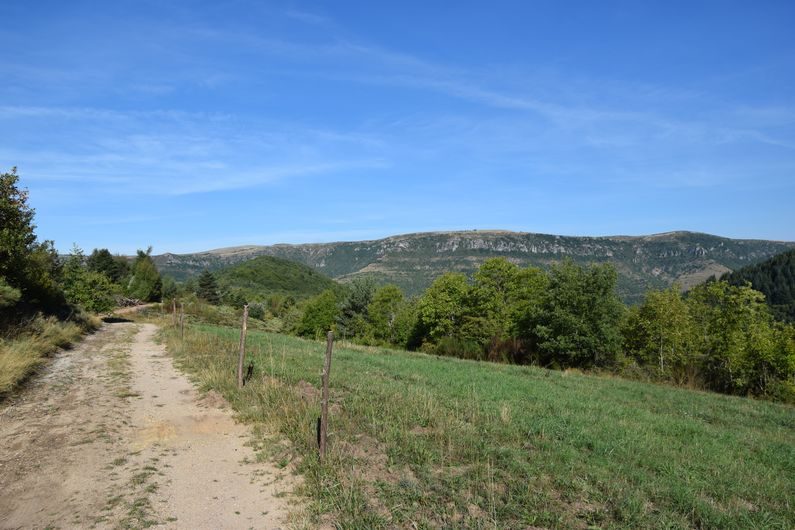 Vue sur le causse Méjean