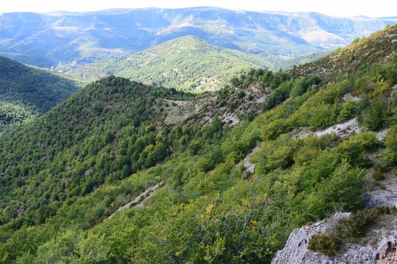 Descente vers la vallée