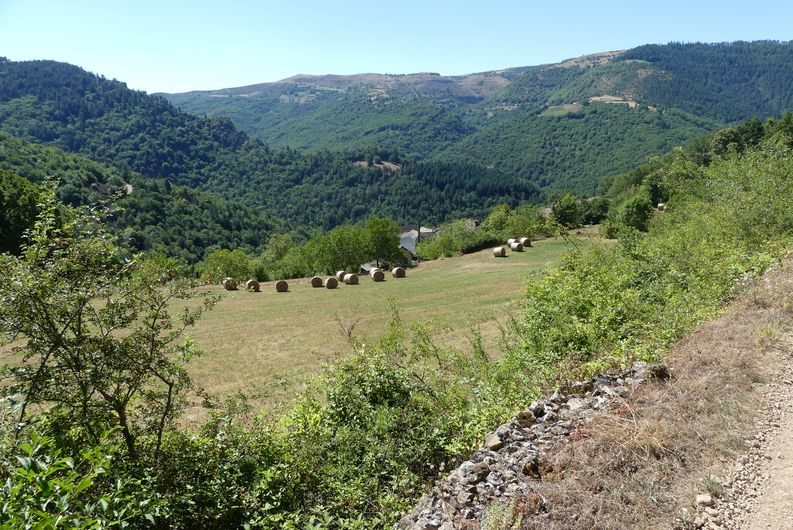 Vallée de la Mimente