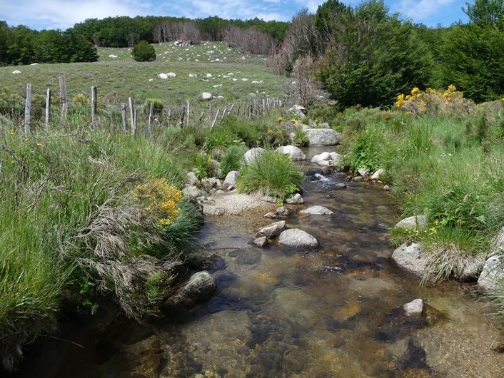 Ruisseau de Bayard