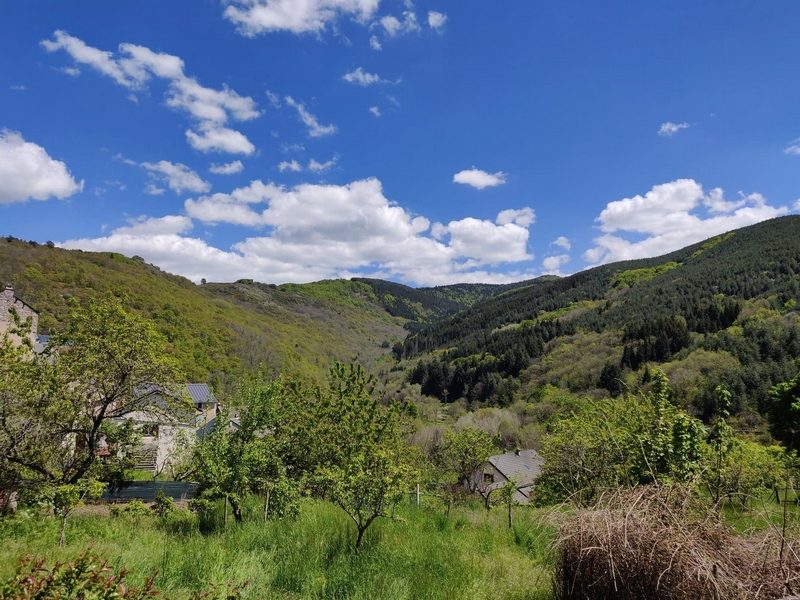 Vallée vers Montredon