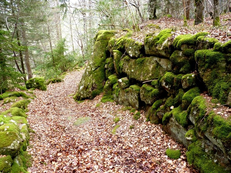 Chemin des morts