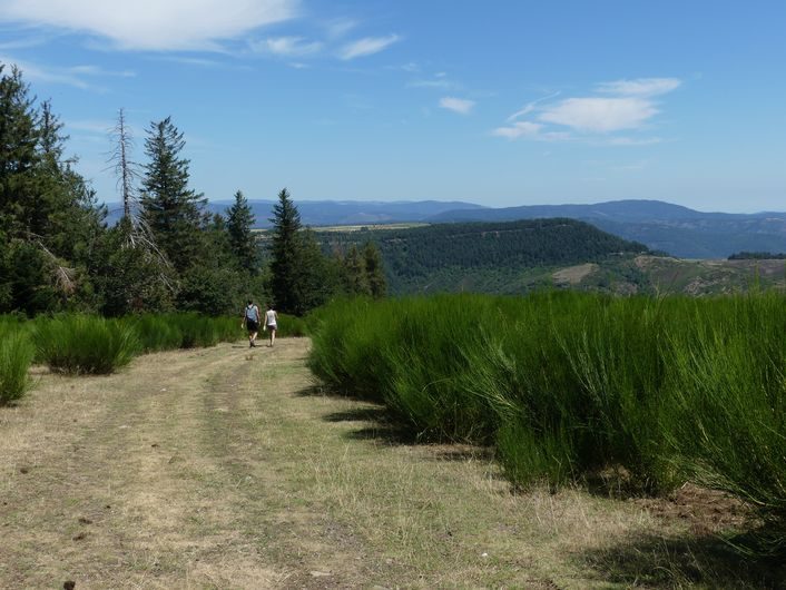 Vue depuis la draille